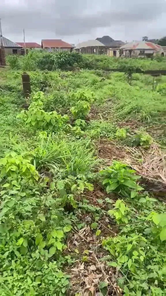 2 & Half Plot at Wisdom, Akobo