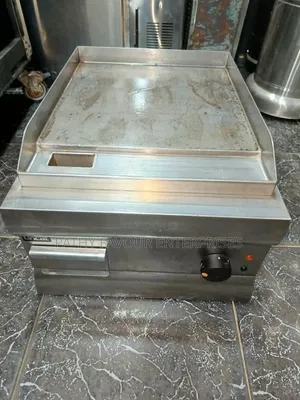 Electric Grill