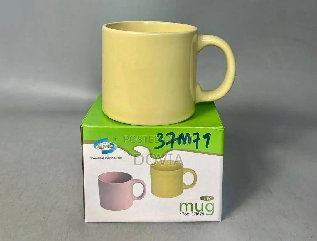 SMP 18oz Ceramic Two-Tone Coffee Mug With Box