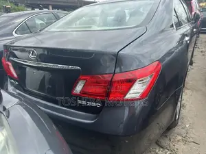 Lexus ES 350 2009 Gray