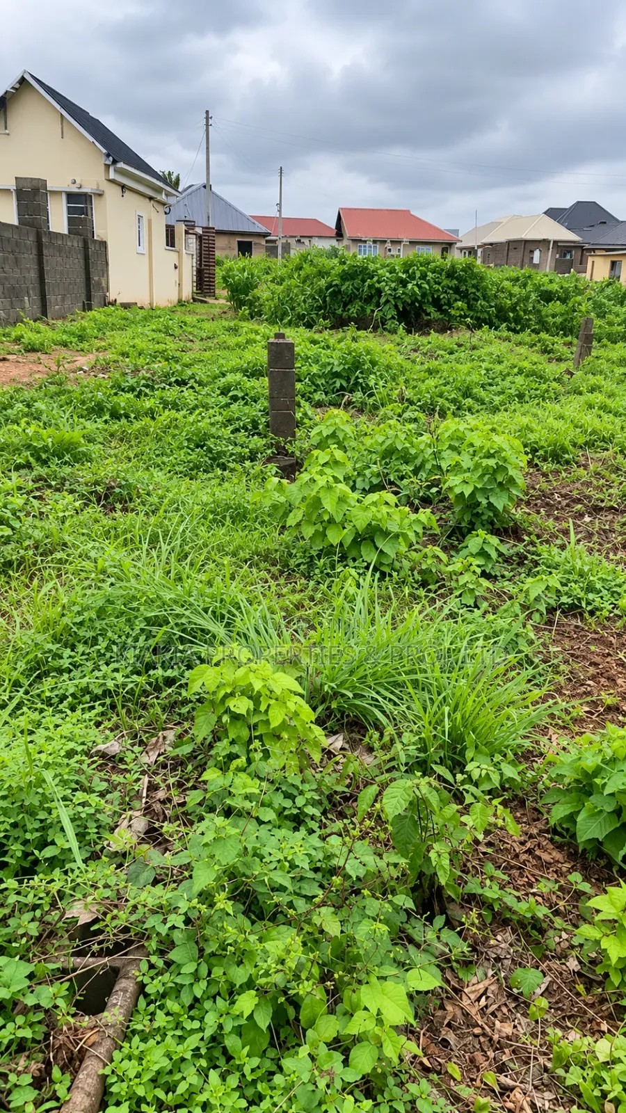 2 & Half Plot at Wisdom, Akobo