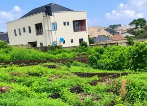 2 & Half Plot at Wisdom, Akobo