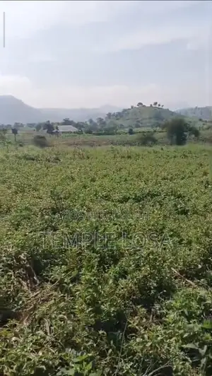5 Plots of Customary Land (Flat Land)