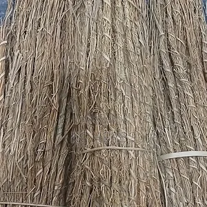 Vetiver Root (Feminine Wellness)
