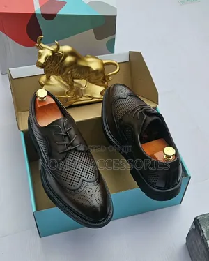 Black and Brown Smart Corporate Shoe - High Quality Shoes 41 - 46