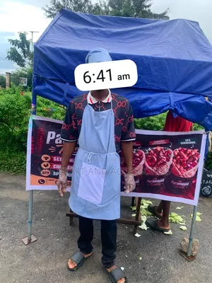 4*4 Sharwama/Food Canopy With Two Sides Cover