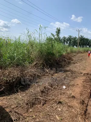 Land Trading