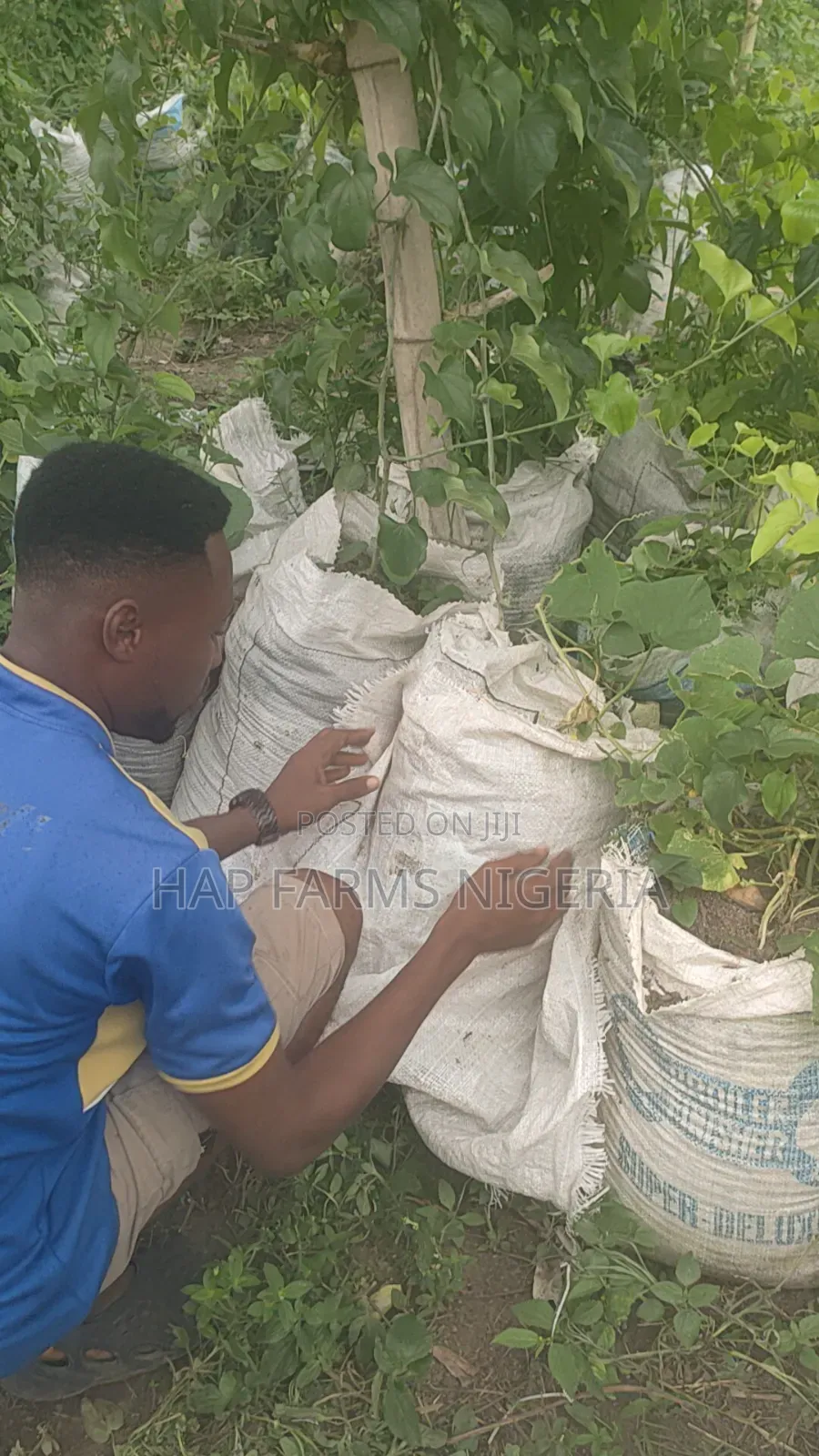 Online Smart Farming Training
