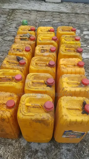 Original 25 Litres Palm Oil