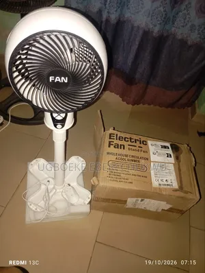 Electric Fan