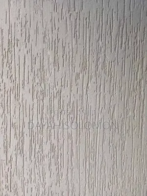 Professional House Painter