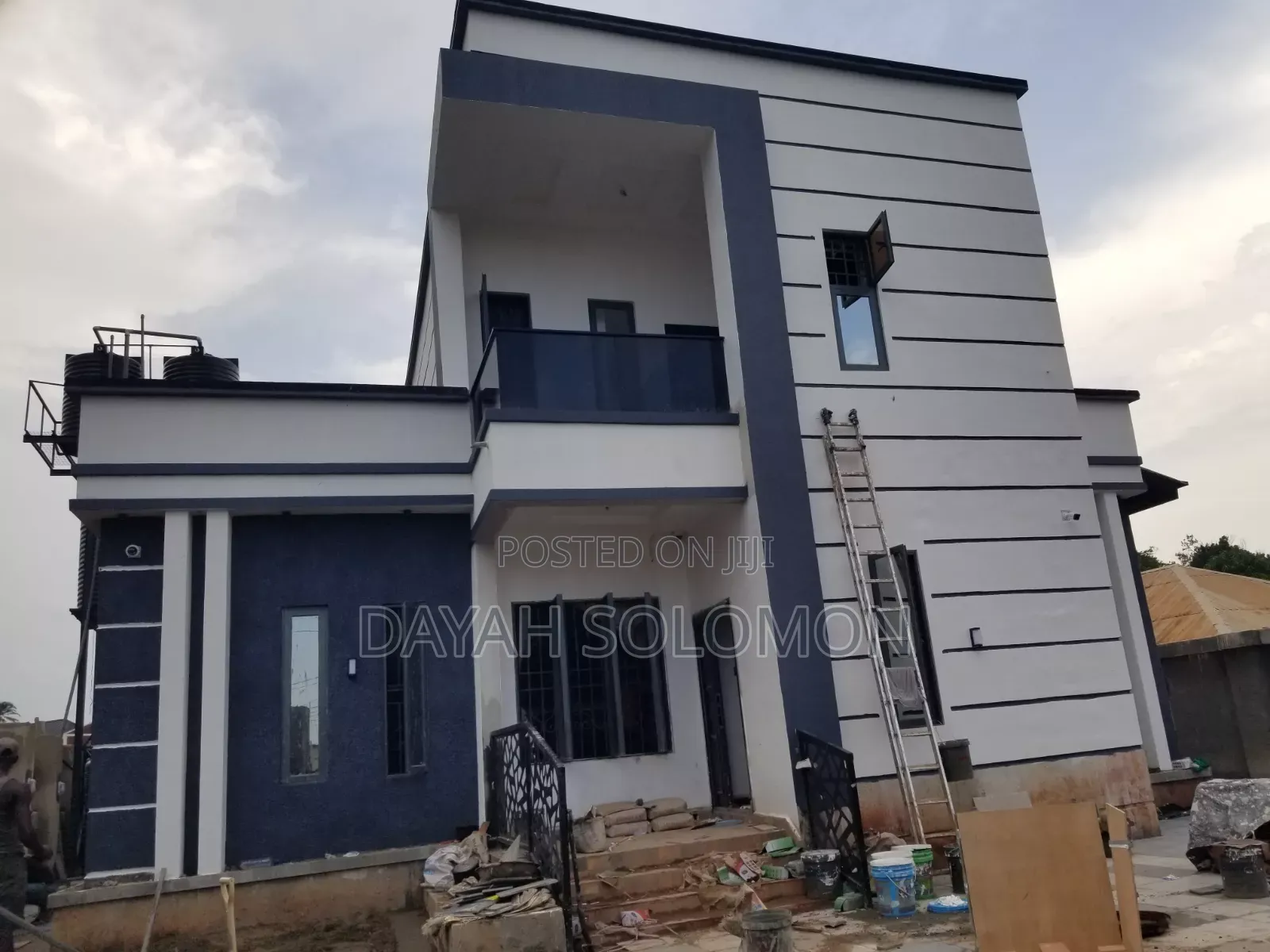 Professional House Painter