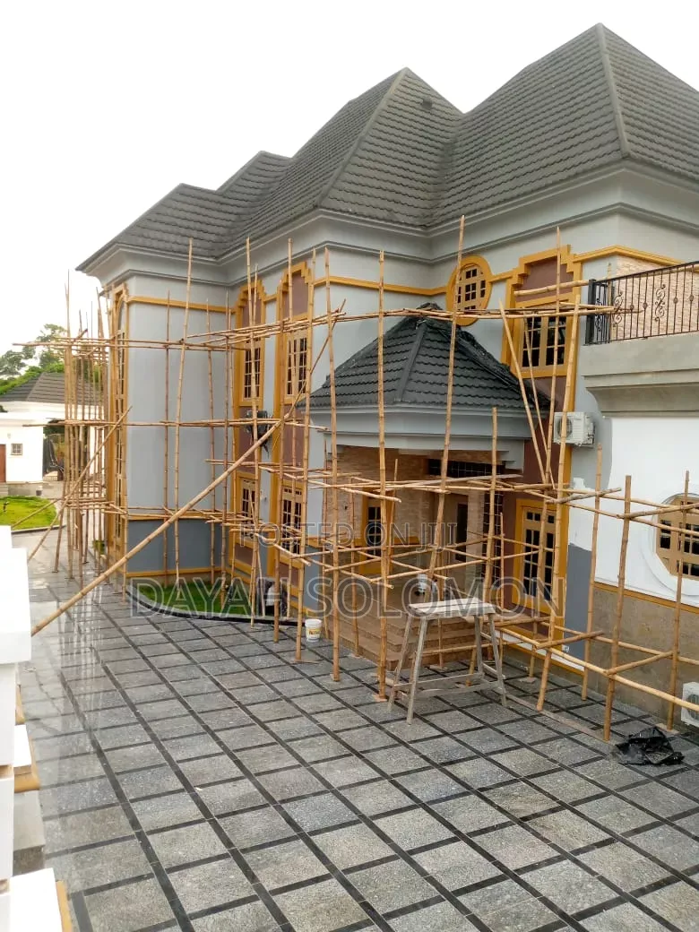 Professional House Painter