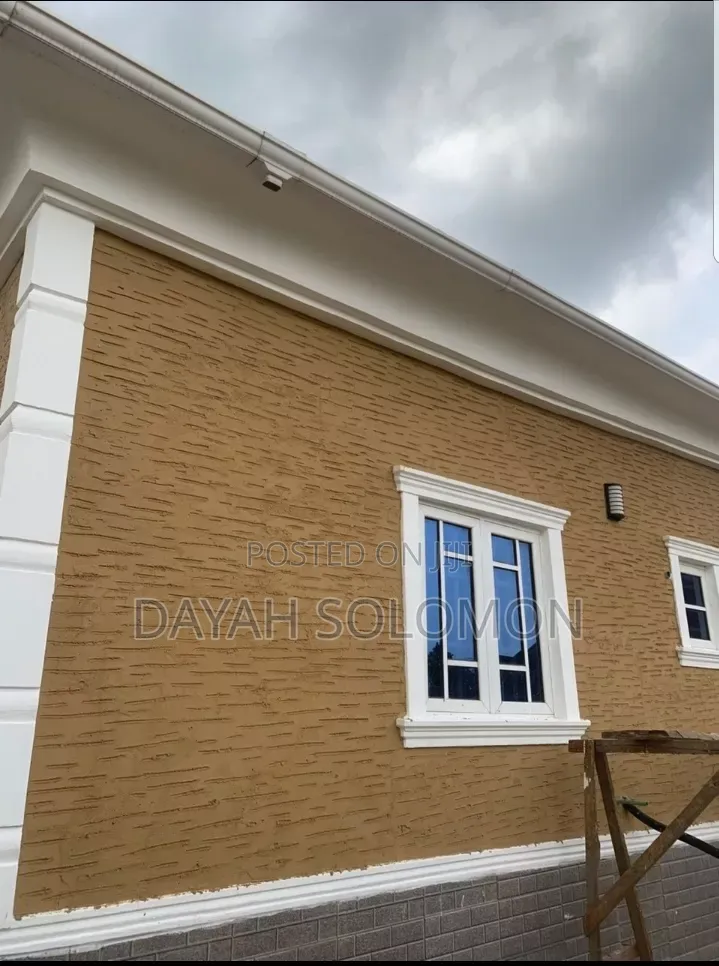 Professional House Painter