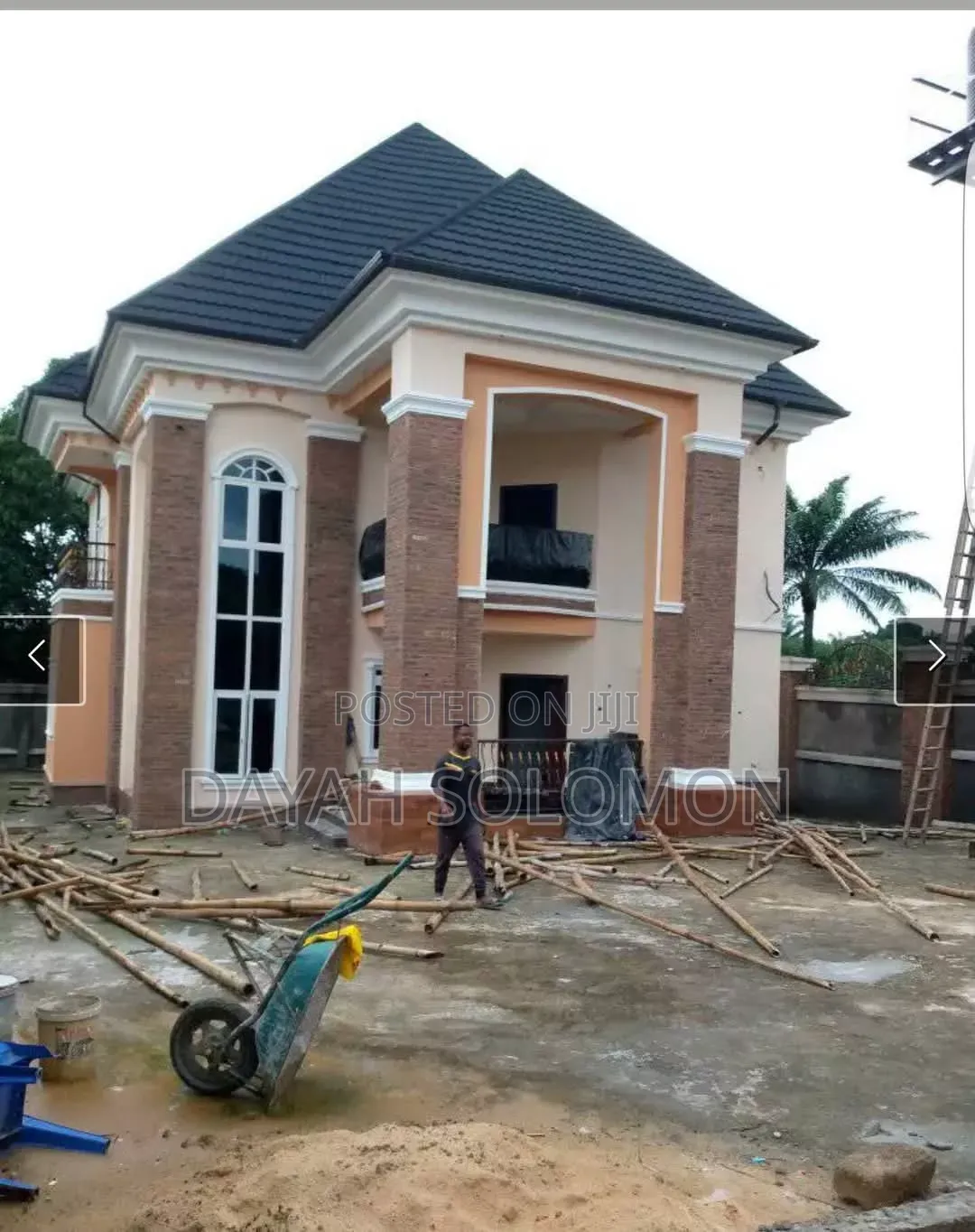 Professional House Painter