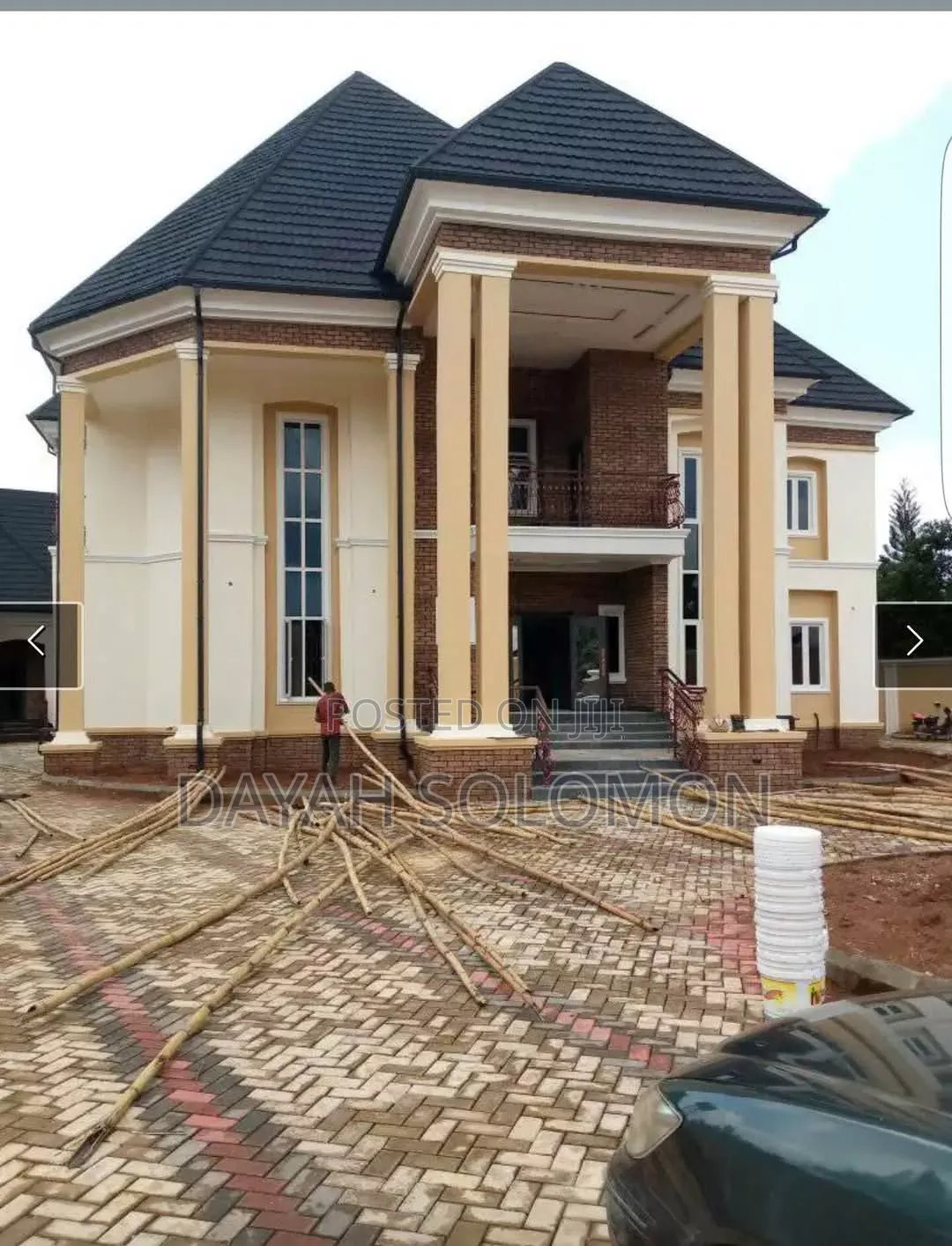 Professional House Painter
