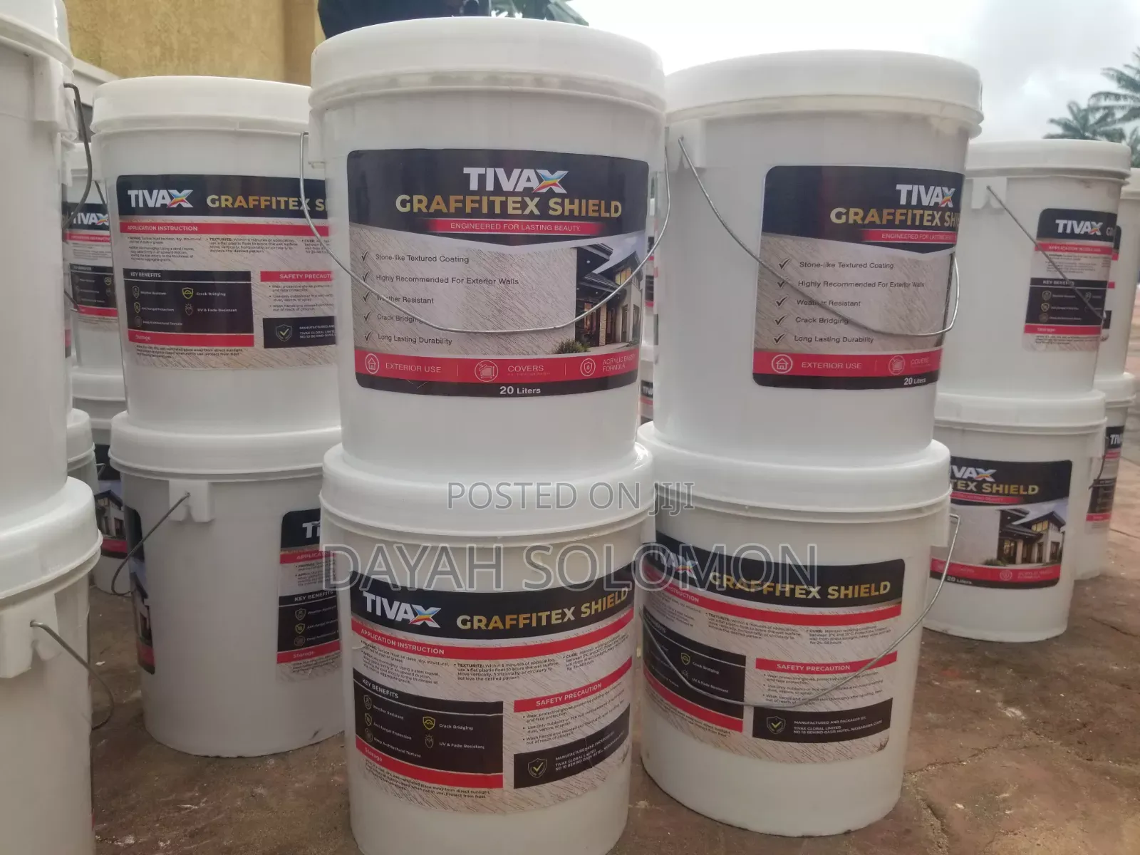 Professional House Painter