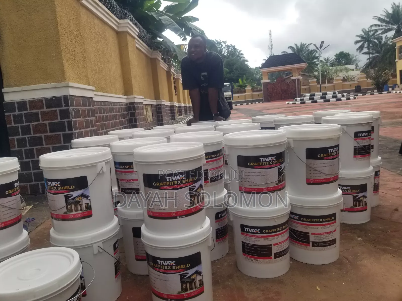 Professional House Painter