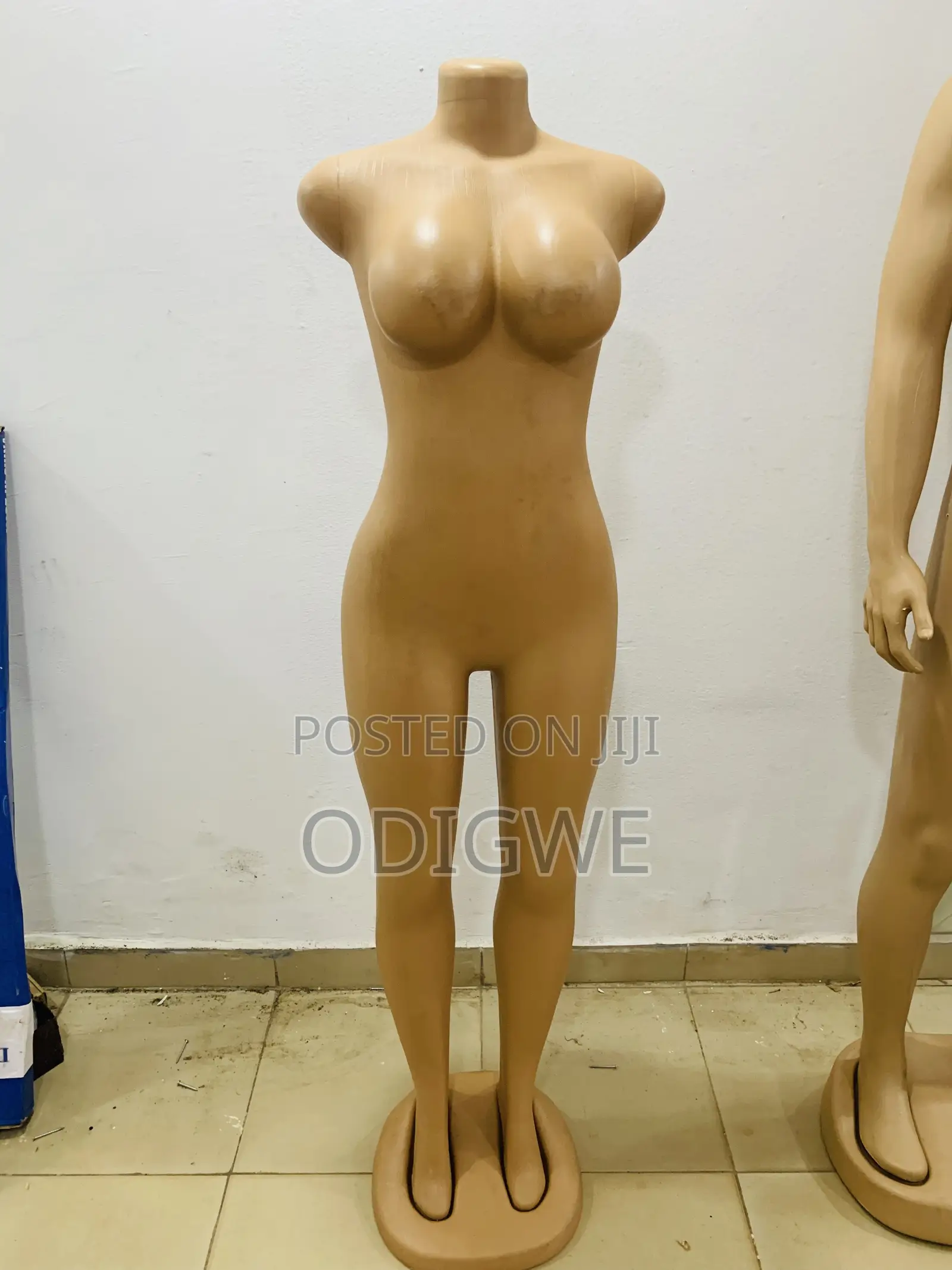 Female Maniques
