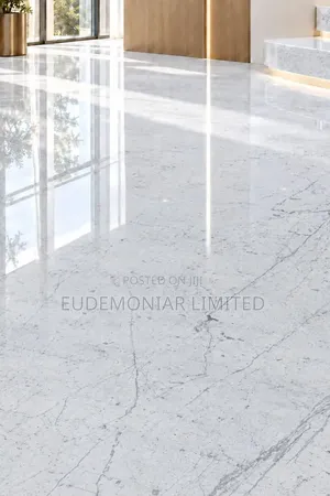 Elegant White Stone Entrance Finishing