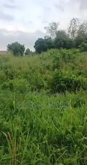 Land for Sale in Prayer City