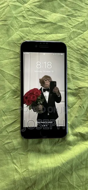 Apple iPhone 6 16 GB Gray