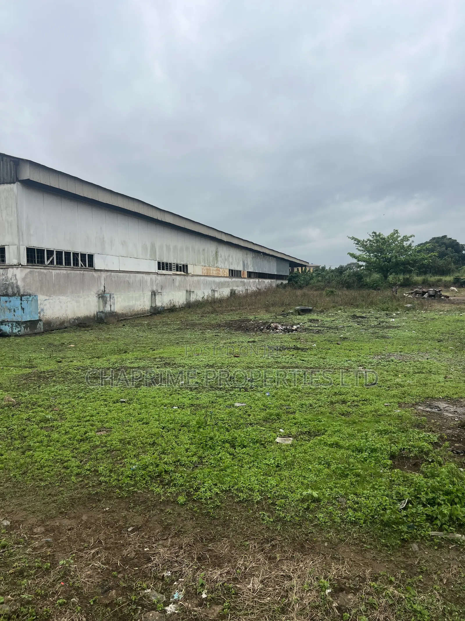 Large Warehouse for Sale