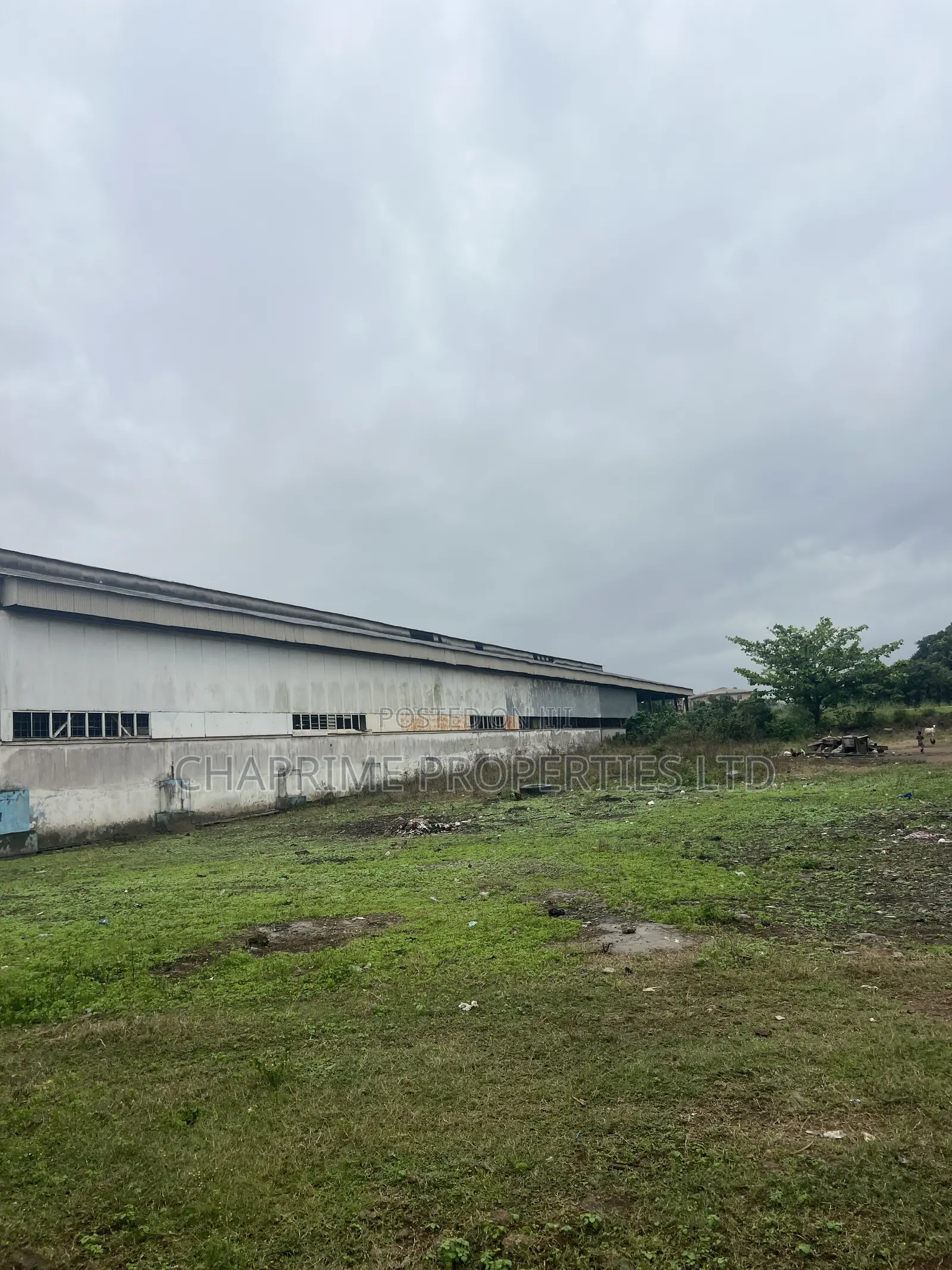 Large Warehouse for Sale
