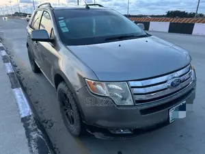 Ford Edge 2007 Gray