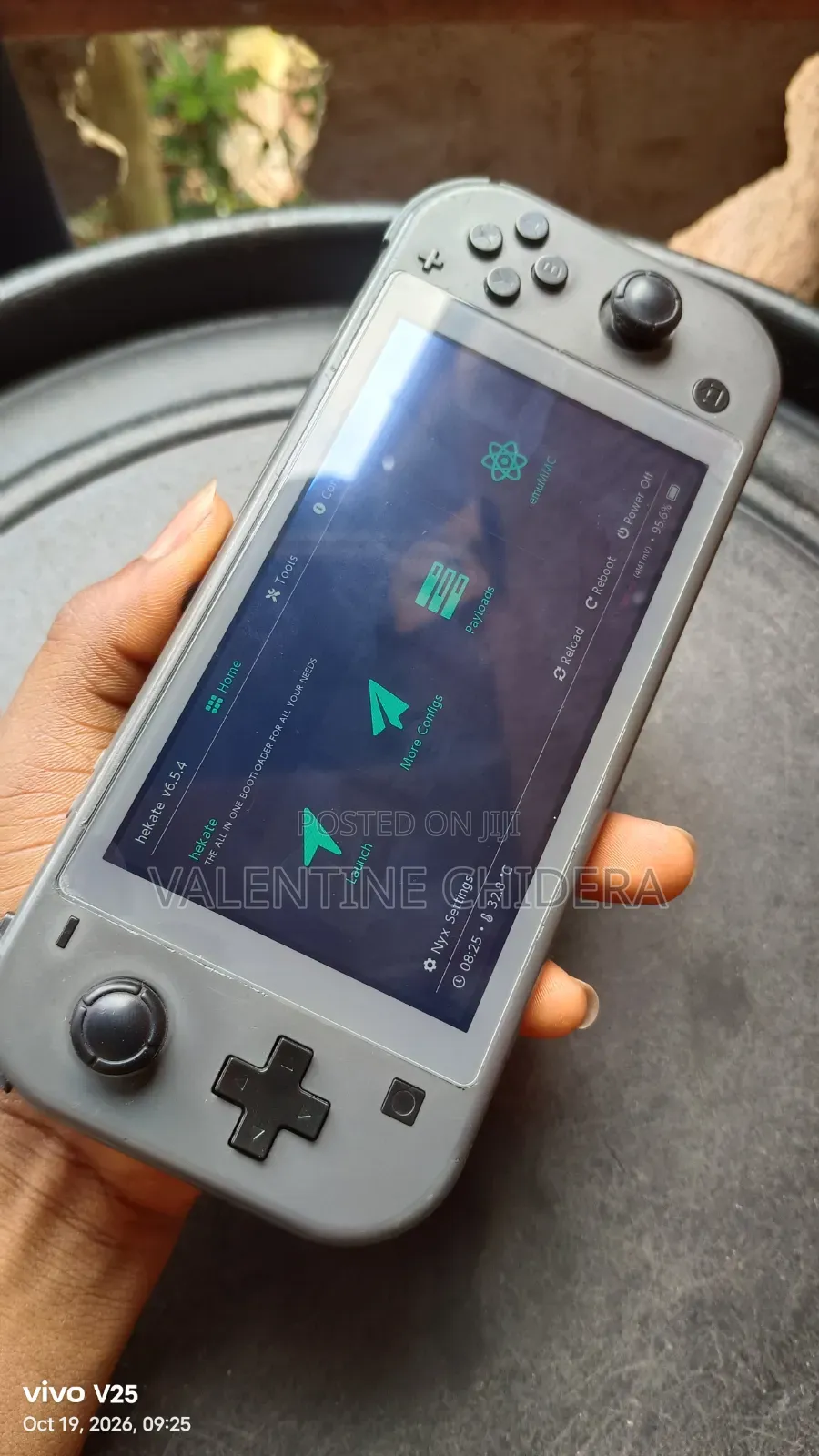 Already Hacked Switch Lite