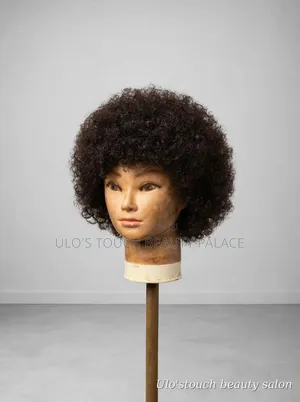 Afro Human Hair Blend