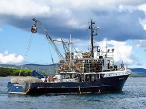 Trawler, Fishing Boat for Sale