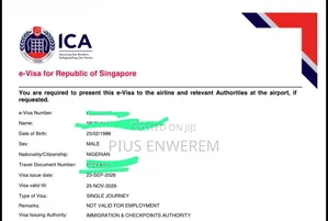 Singapore Tourist Visa (100%)