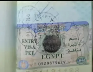 Egypt Visa (100%)