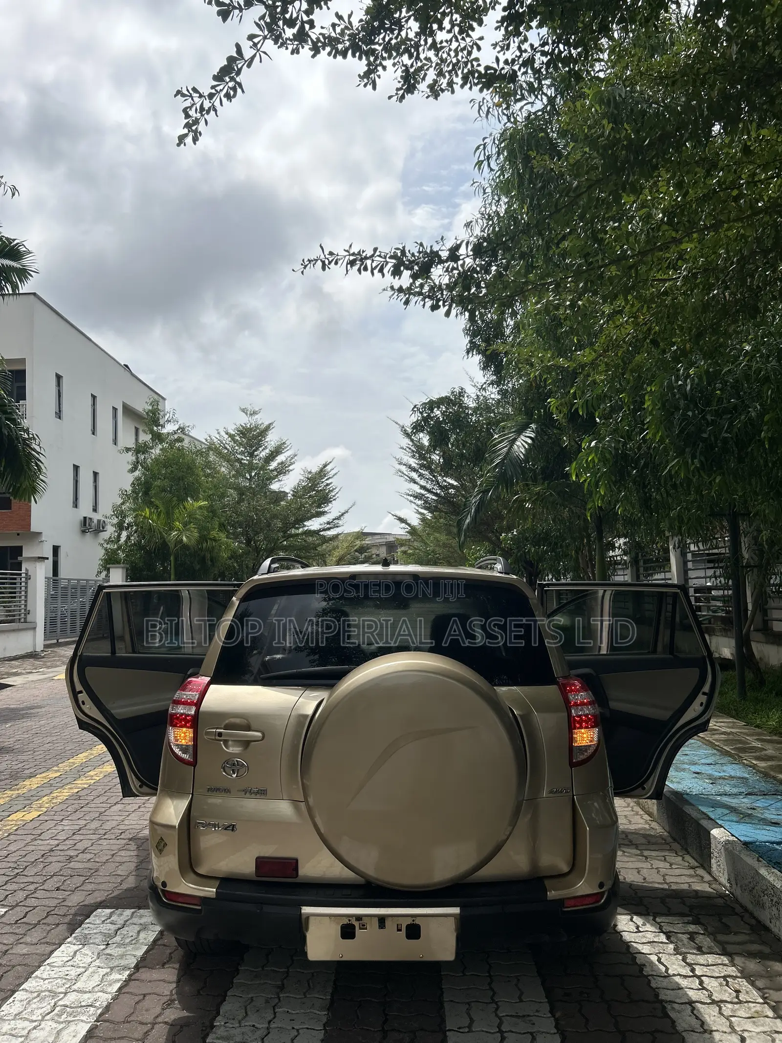 Toyota RAV4 Limited 4x4 2009 Gold