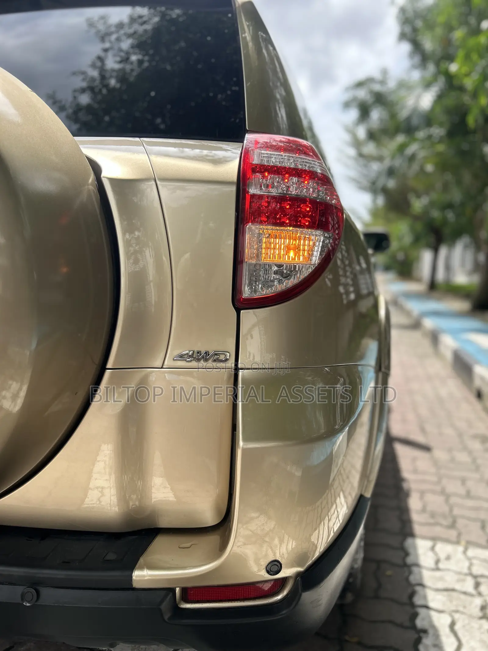 Toyota RAV4 Limited 4x4 2009 Gold