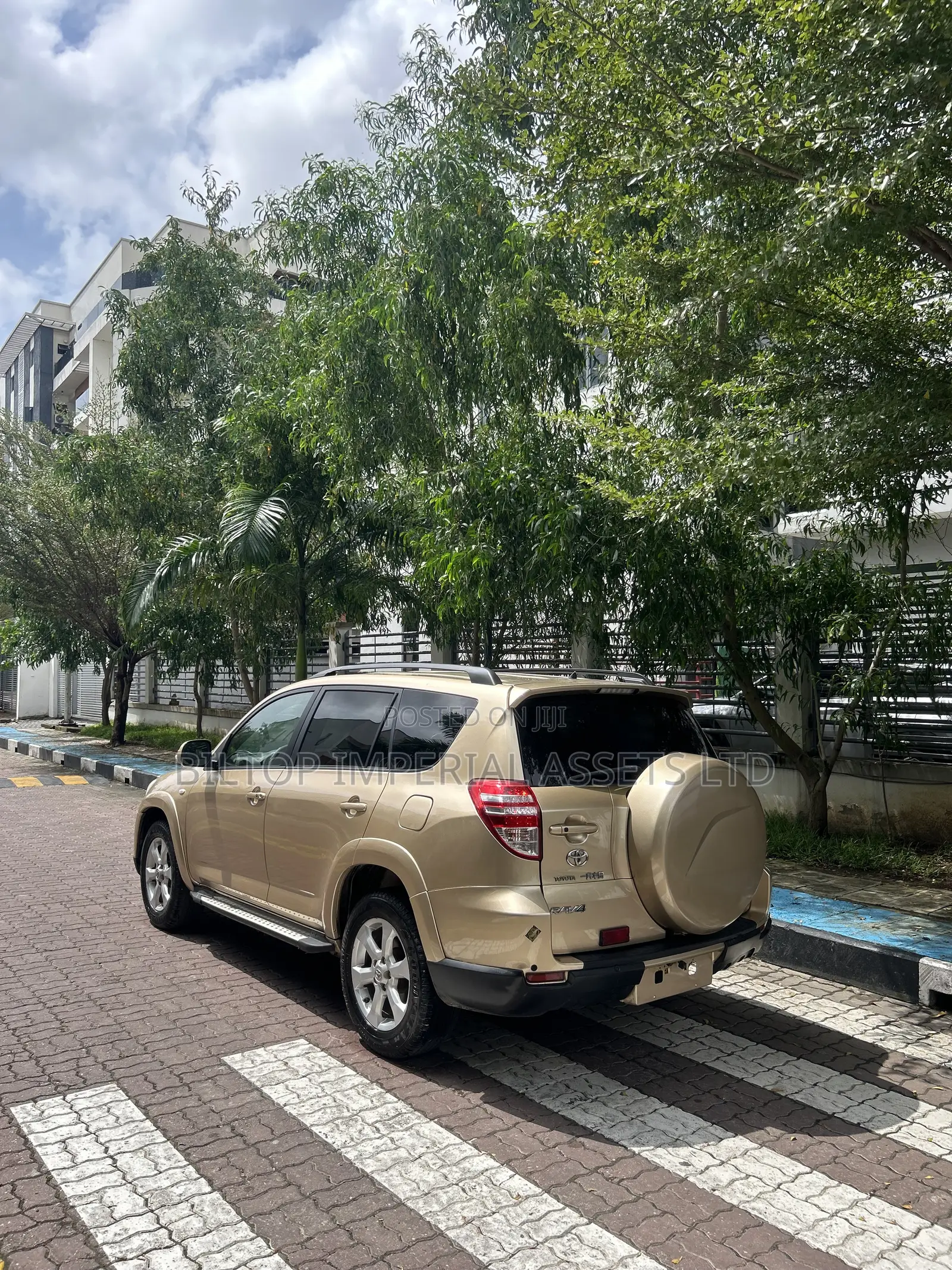 Toyota RAV4 Limited 4x4 2009 Gold