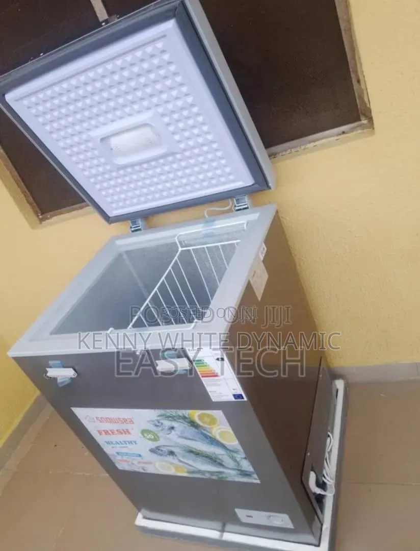 Snow Deep Freezer Model BD-158