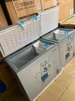 Skyrun BD-250AI Inverter Chest Freezer