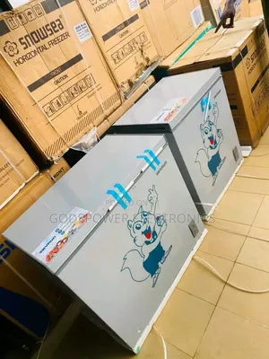 Skyrun Inverter Non Stick 250L Chest Freezer