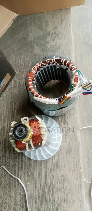 Complete Coil for Generator 2.5kva/3.5kva EC3000