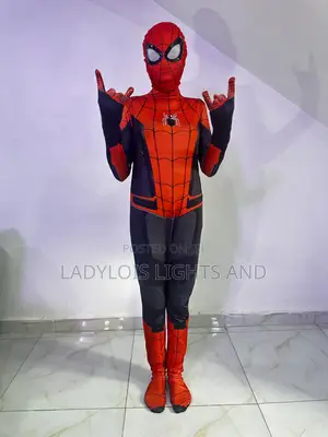 Spider Man Costume