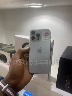 Apple iPhone 15 Pro Max 256 GB Gray
