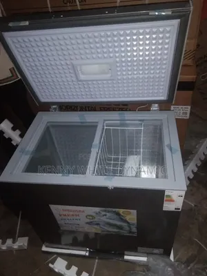 Snowsea Deep Freezer Model BD258
