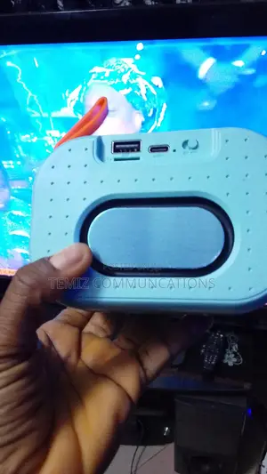 Wireless Bluetooth Speaker