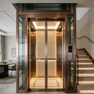 Pitless Indoor Homelift