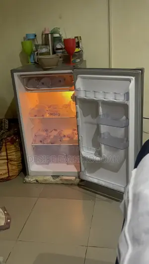 Skyrun Fridge BCD-95A