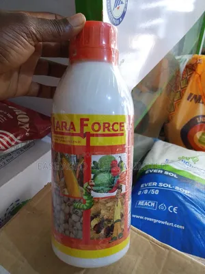 Lara Force