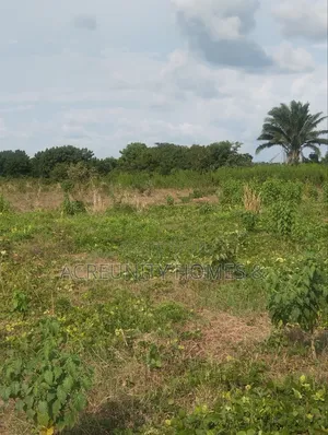 500 Acres of Farmland for Sale at Igbo Tapa, Igboora, Oyo State