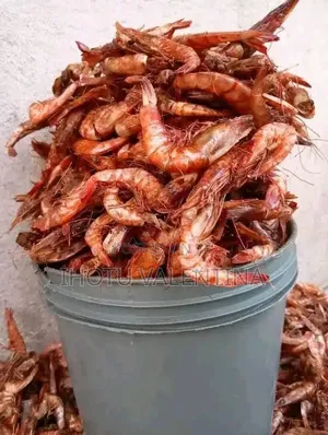 Crayfish for Sell